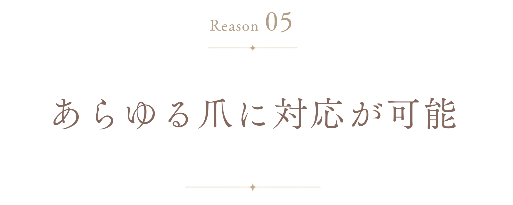 理由5: あらゆる爪に対応が可能