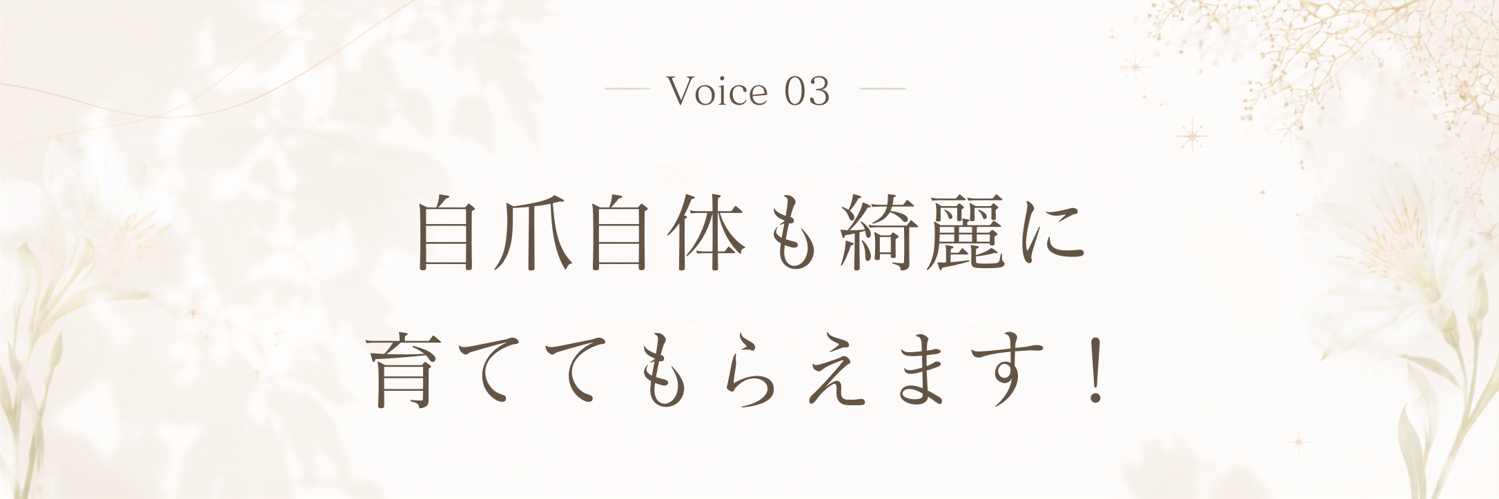 Voice 3